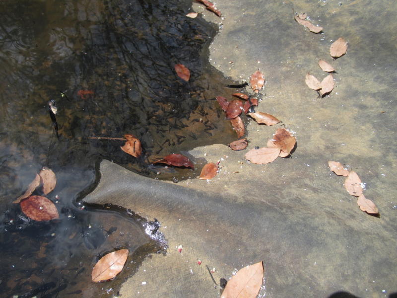 f:id:itablog:20210323121051j:plain