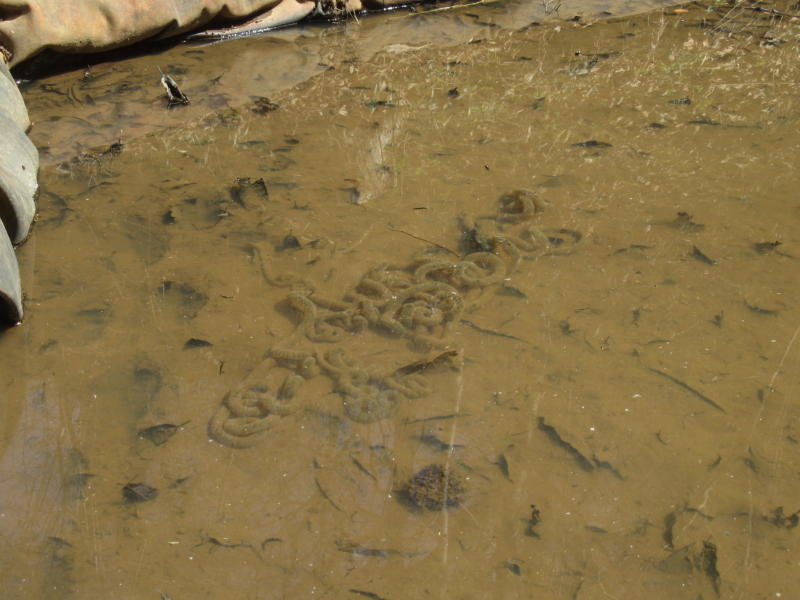 f:id:itablog:20210323121523j:plain