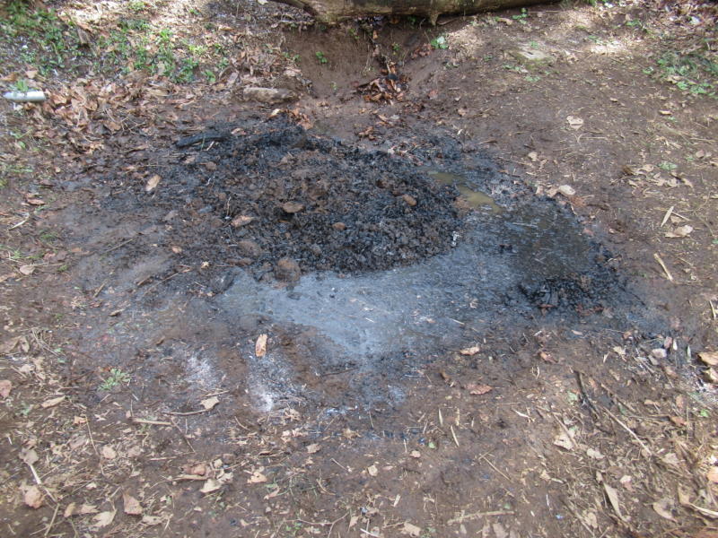 f:id:itablog:20210323132633j:plain