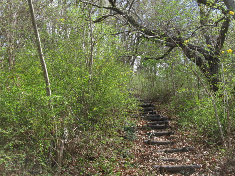 f:id:itablog:20210323134125j:plain