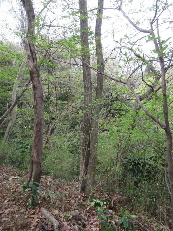 f:id:itablog:20210330103814j:plain