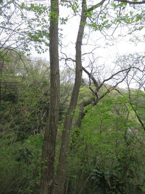 f:id:itablog:20210330104454j:plain