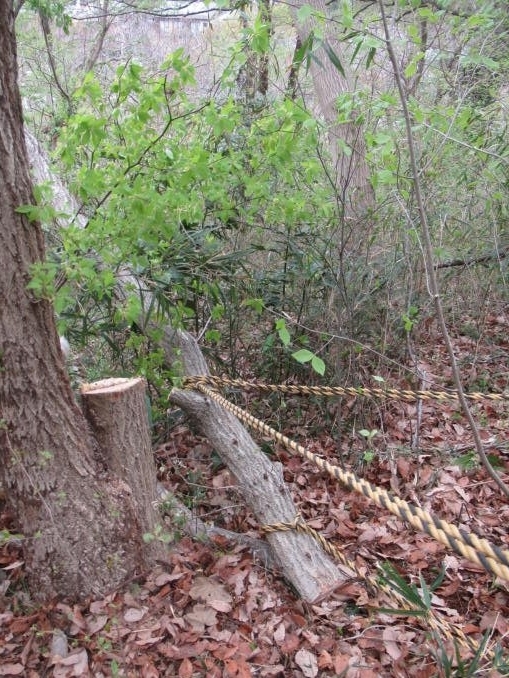 f:id:itablog:20210330112419j:plain