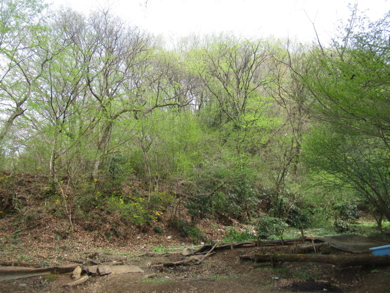 f:id:itablog:20210330130623j:plain