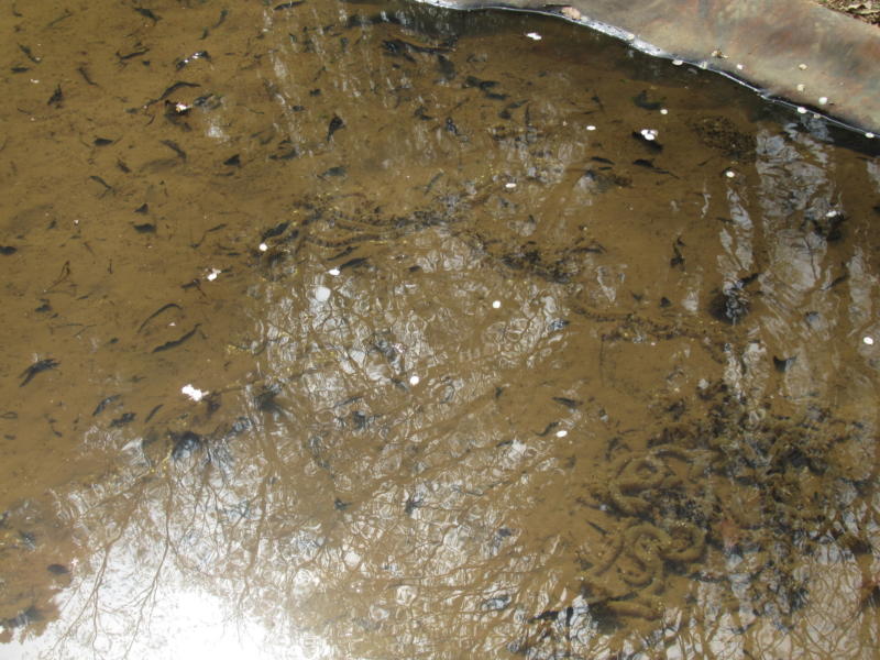 f:id:itablog:20210330130705j:plain