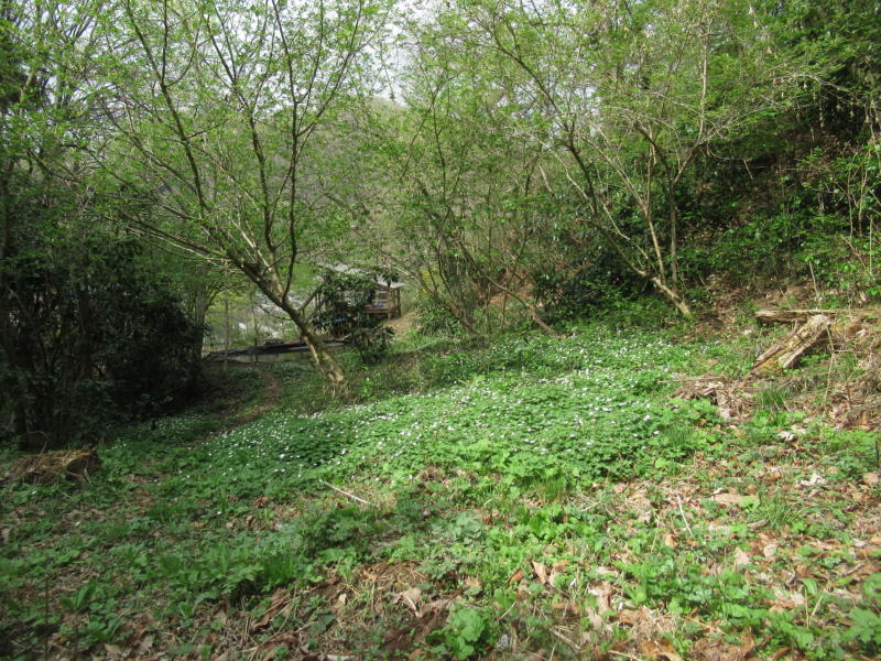 f:id:itablog:20210330130837j:plain