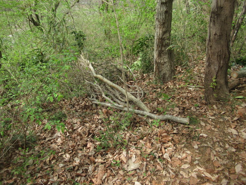 f:id:itablog:20210330132026j:plain