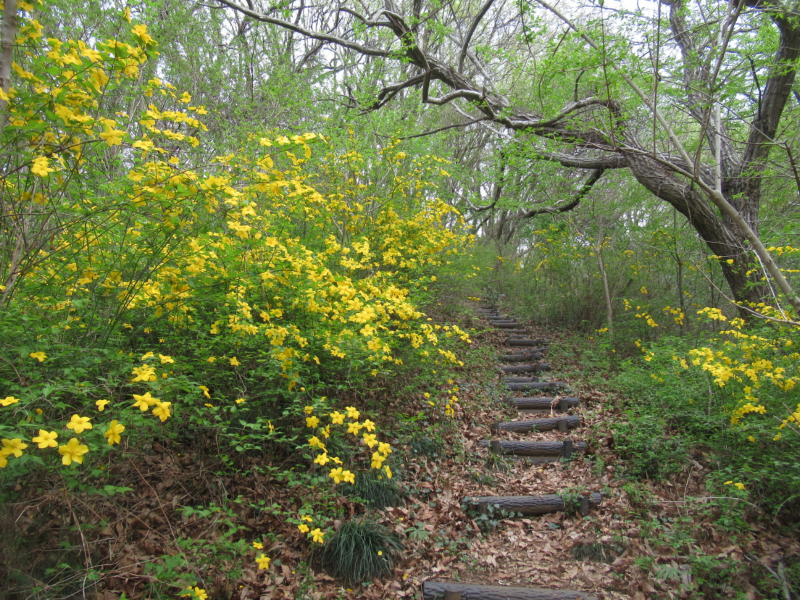 f:id:itablog:20210330133657j:plain