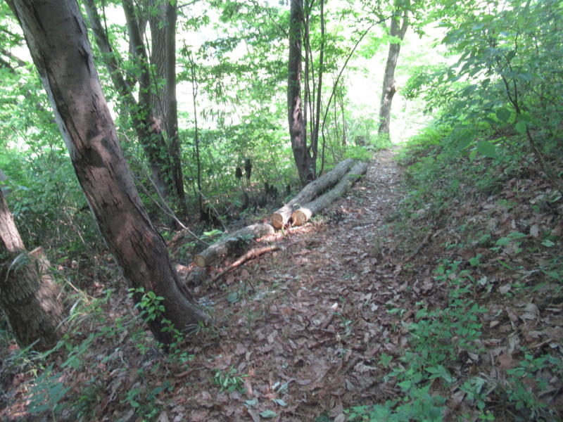 f:id:itablog:20210427095030j:plain