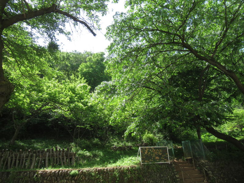 f:id:itablog:20210427095602j:plain