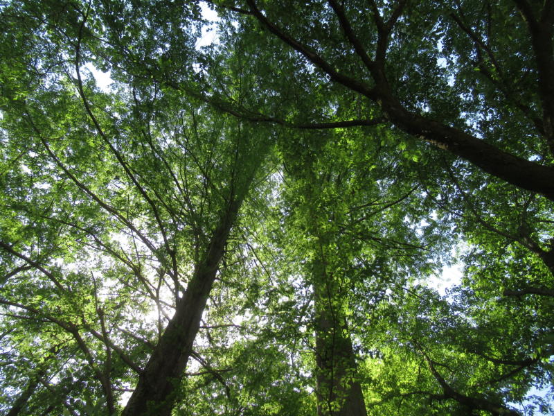 f:id:itablog:20210427095729j:plain