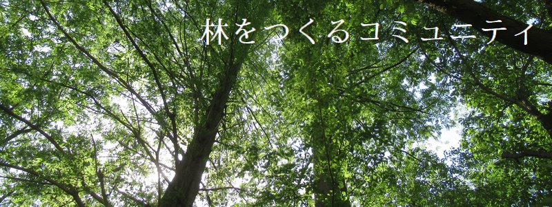 f:id:itablog:20210427095730j:plain