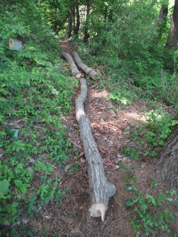 f:id:itablog:20210427110041j:plain