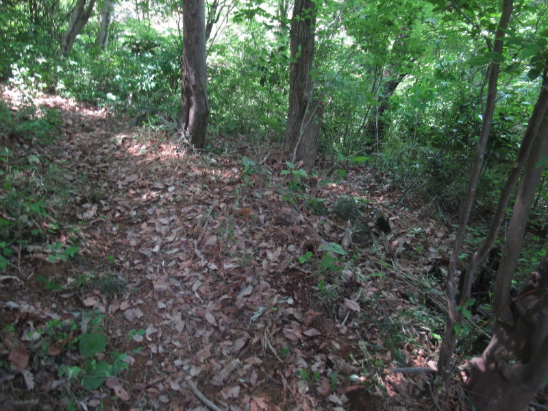 f:id:itablog:20210427110059j:plain