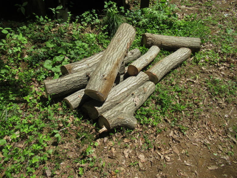 f:id:itablog:20210427113129j:plain