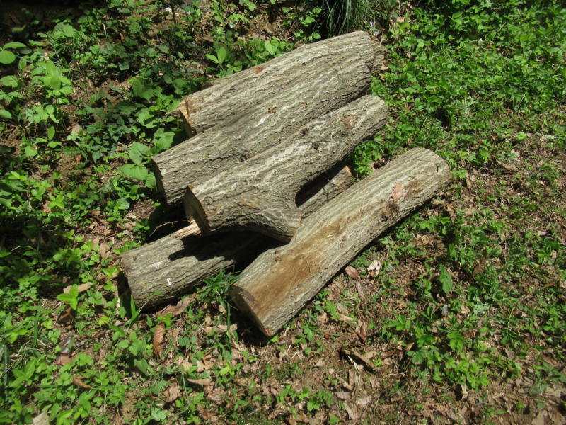 f:id:itablog:20210427113628j:plain