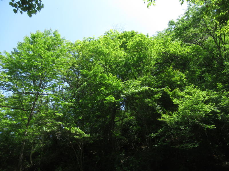 f:id:itablog:20210427114900j:plain