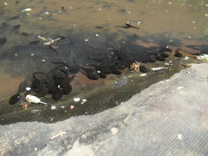 f:id:itablog:20210427115801j:plain