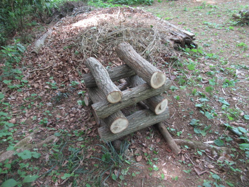 f:id:itablog:20210427132349j:plain