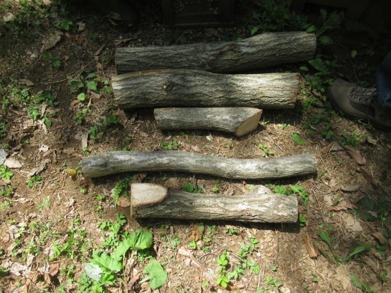 f:id:itablog:20210427222655j:plain