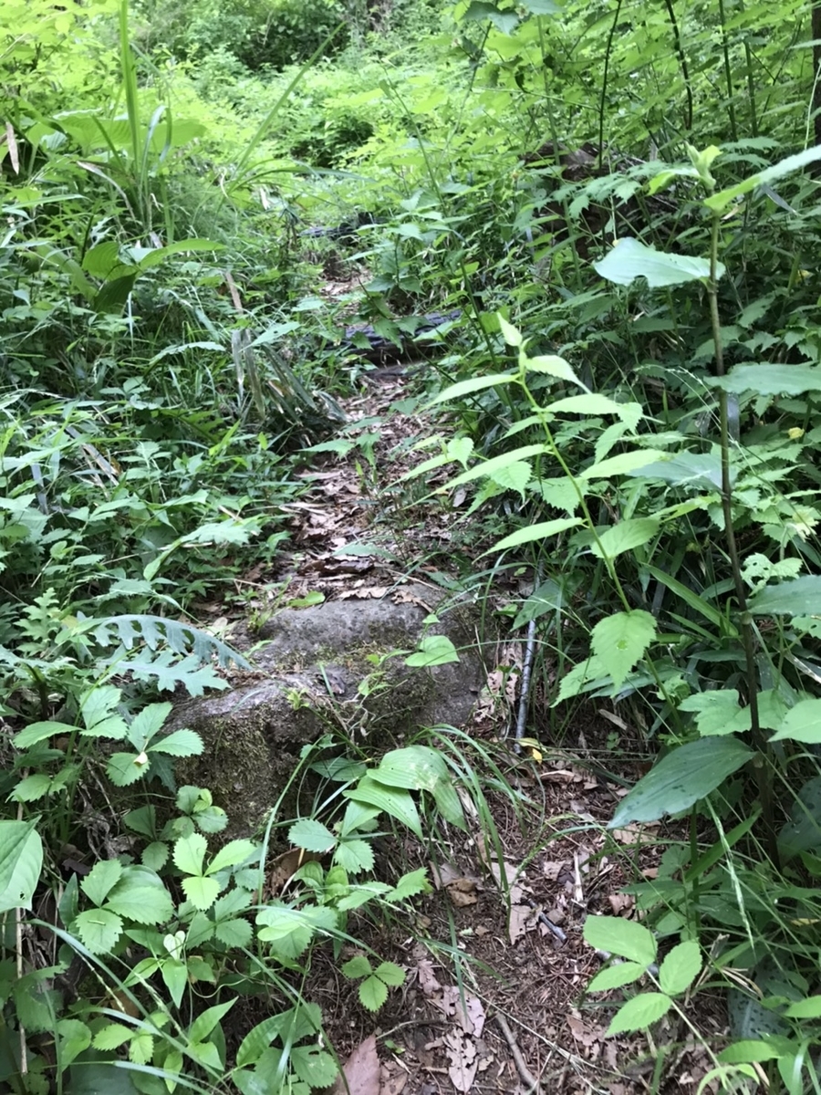 f:id:itablog:20210513084036j:plain