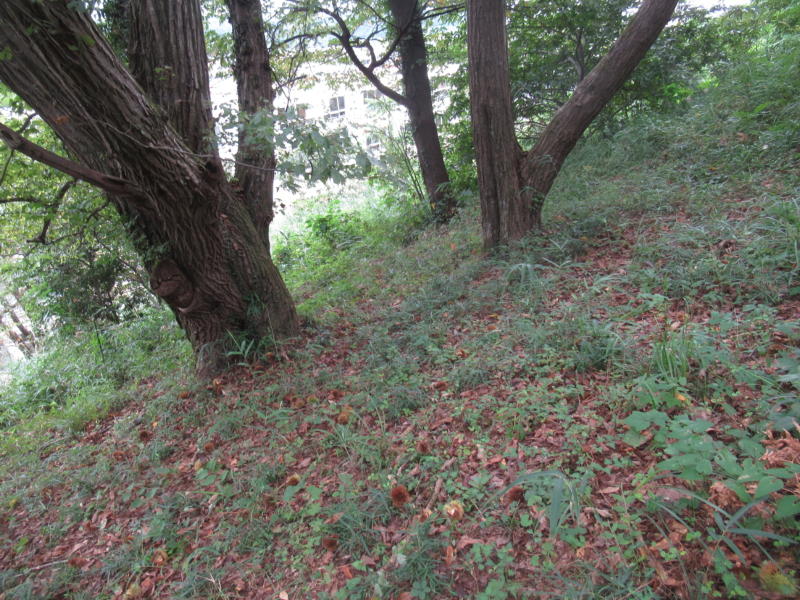 f:id:itablog:20210914131446j:plain