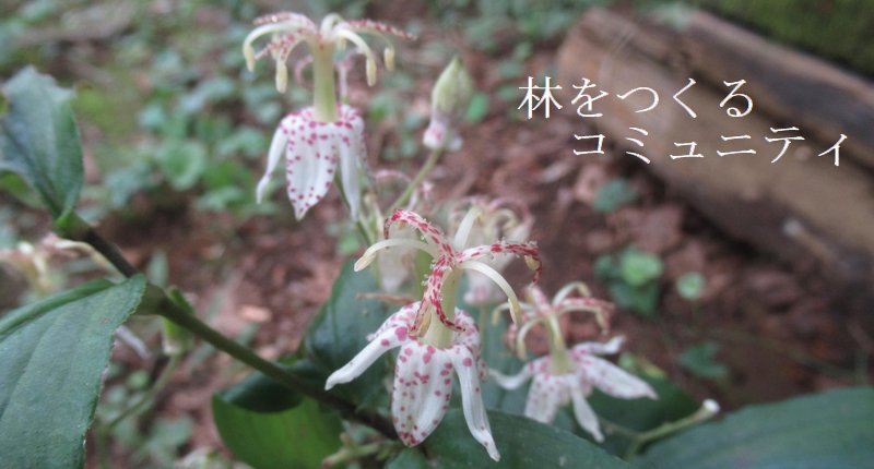 f:id:itablog:20210916173500j:plain