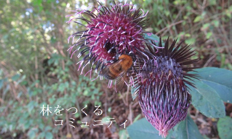 f:id:itablog:20211026125704j:plain