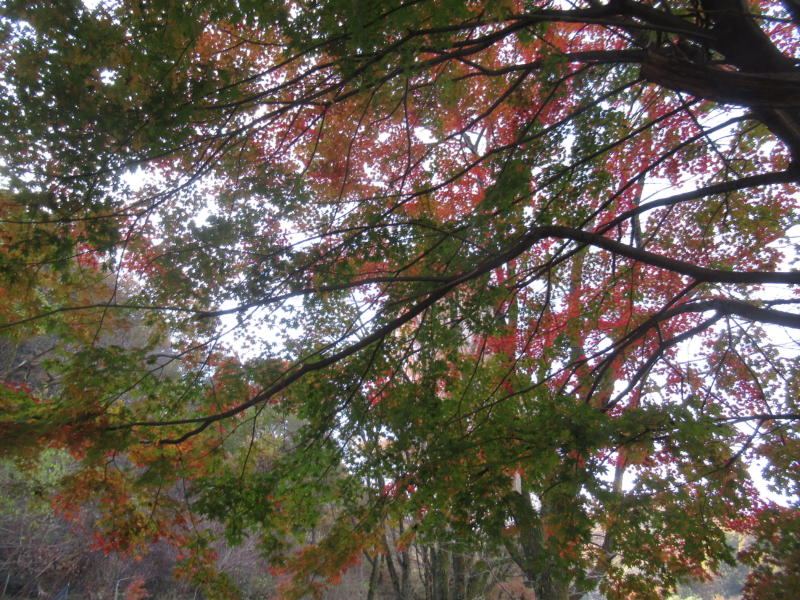 f:id:itablog:20211130121426j:plain