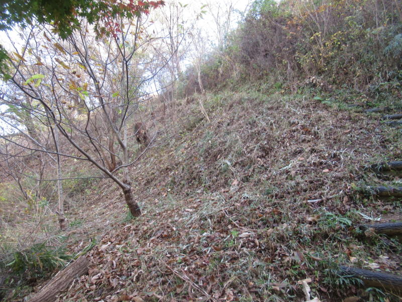 f:id:itablog:20211130121433j:plain