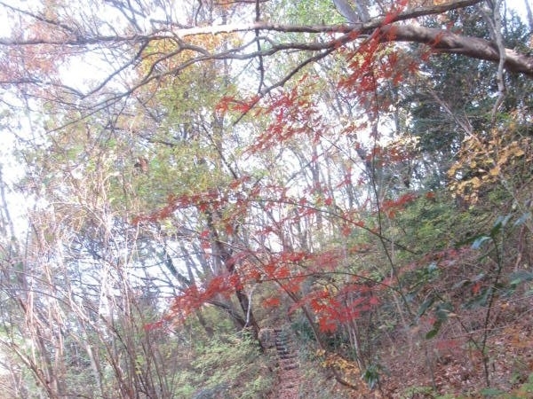 f:id:itablog:20211130125632j:plain
