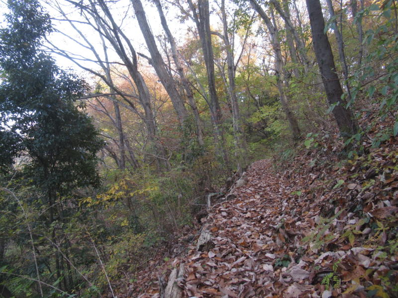 f:id:itablog:20211130125818j:plain