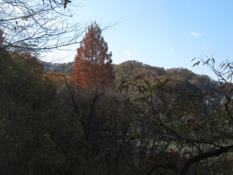 f:id:itablog:20211130130420j:plain