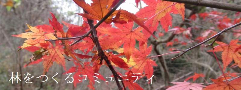 f:id:itablog:20211214132824j:plain