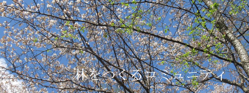 f:id:itablog:20220405133916j:plain