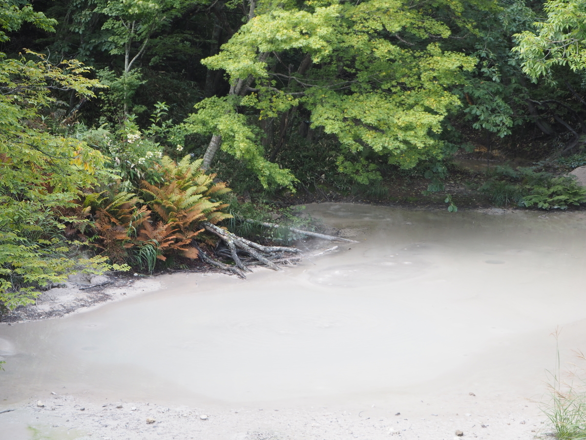 f:id:itako-chiikiokoshi2018:20190904165417j:plain f:id:itako-chiikiokoshi2018:20190904165417j:plain