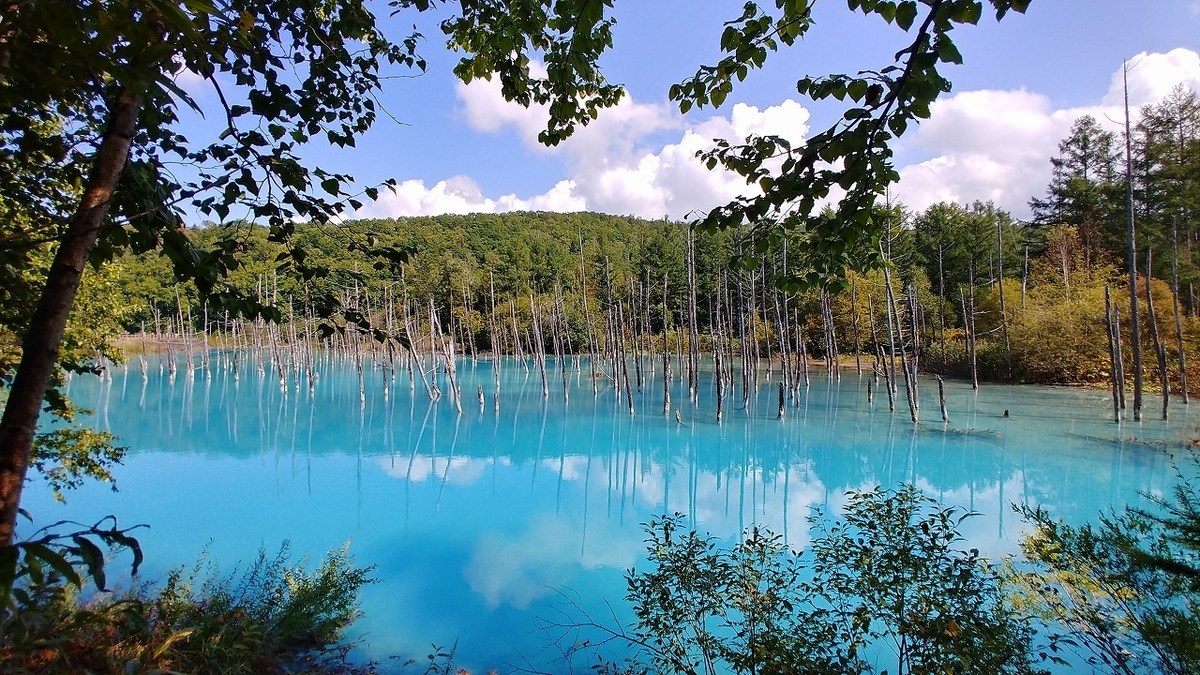 f:id:itanji-tourer:20201010105246j:plain f:id:itanji-tourer:20201010105246j:plain