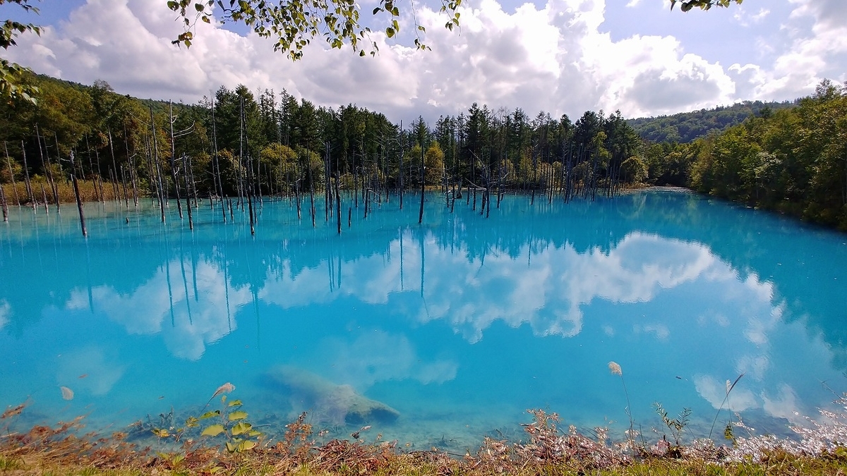 f:id:itanji-tourer:20201010110325j:plain f:id:itanji-tourer:20201010110325j:plain