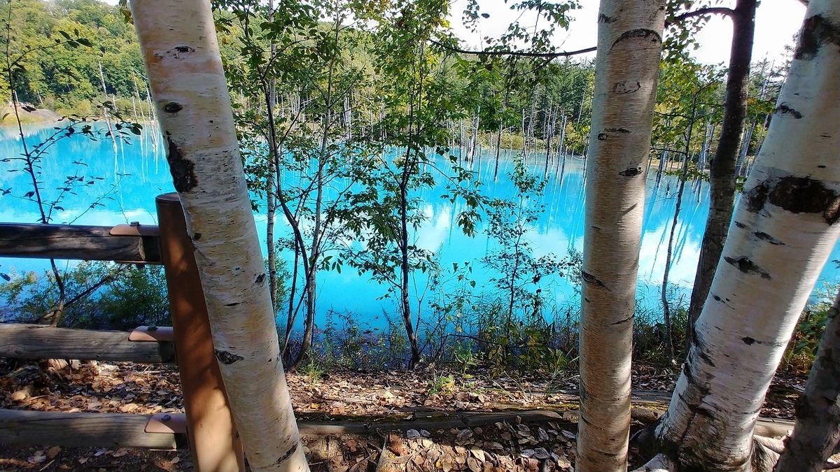 f:id:itanji-tourer:20201010130408j:plain f:id:itanji-tourer:20201010130408j:plain