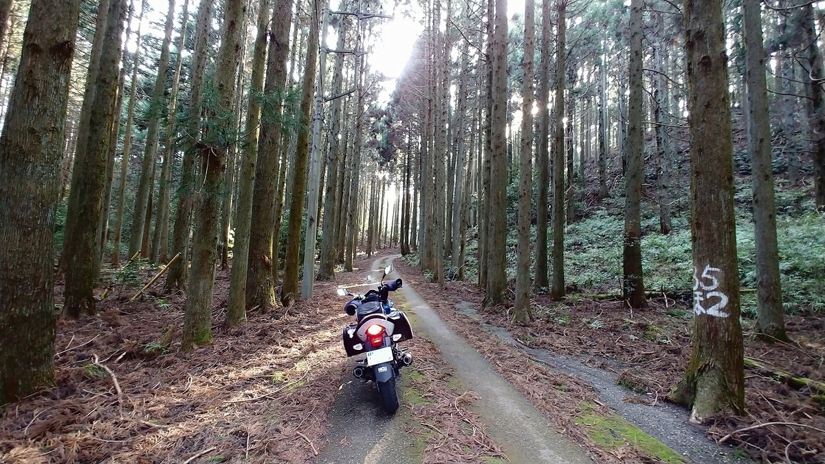 f:id:itanji-tourer:20210516130621j:plain