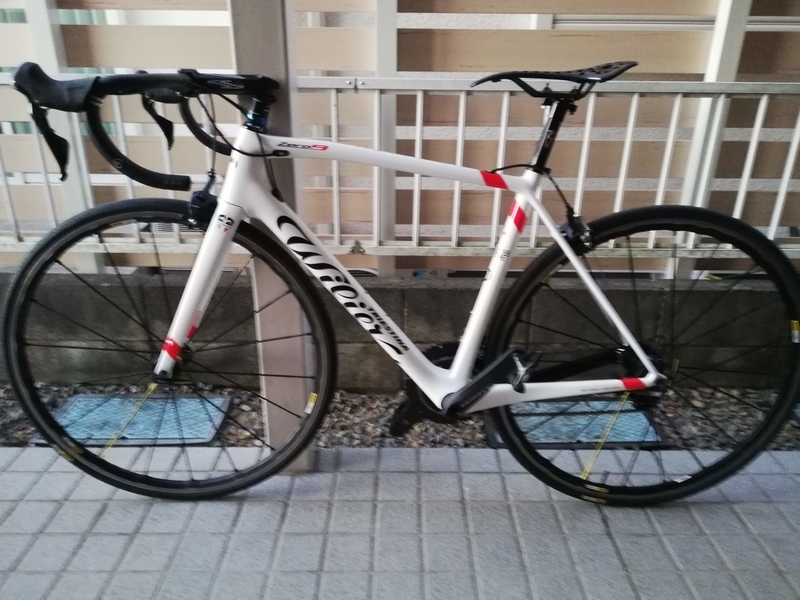 新しいフレームを買って組んだ - ここは板の間