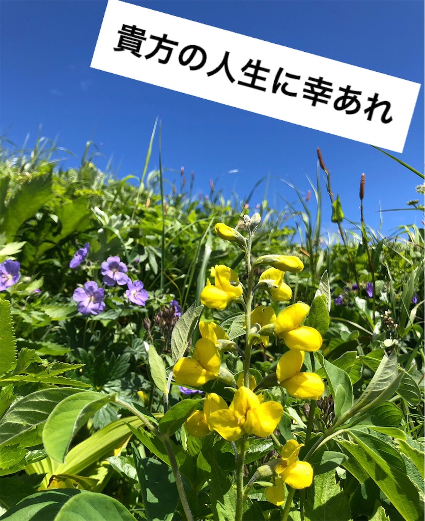 f:id:itariaaaa:20230913005842j:image f:id:itariaaaa:20230913005842j:image