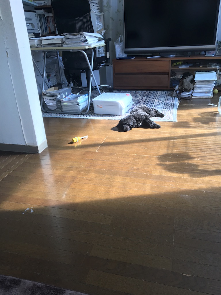f:id:itaru617:20170519200639j:image f:id:itaru617:20170519200639j:image