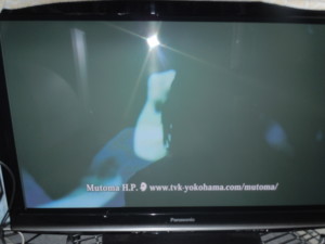 f:id:itaru812:20110805014412j:image