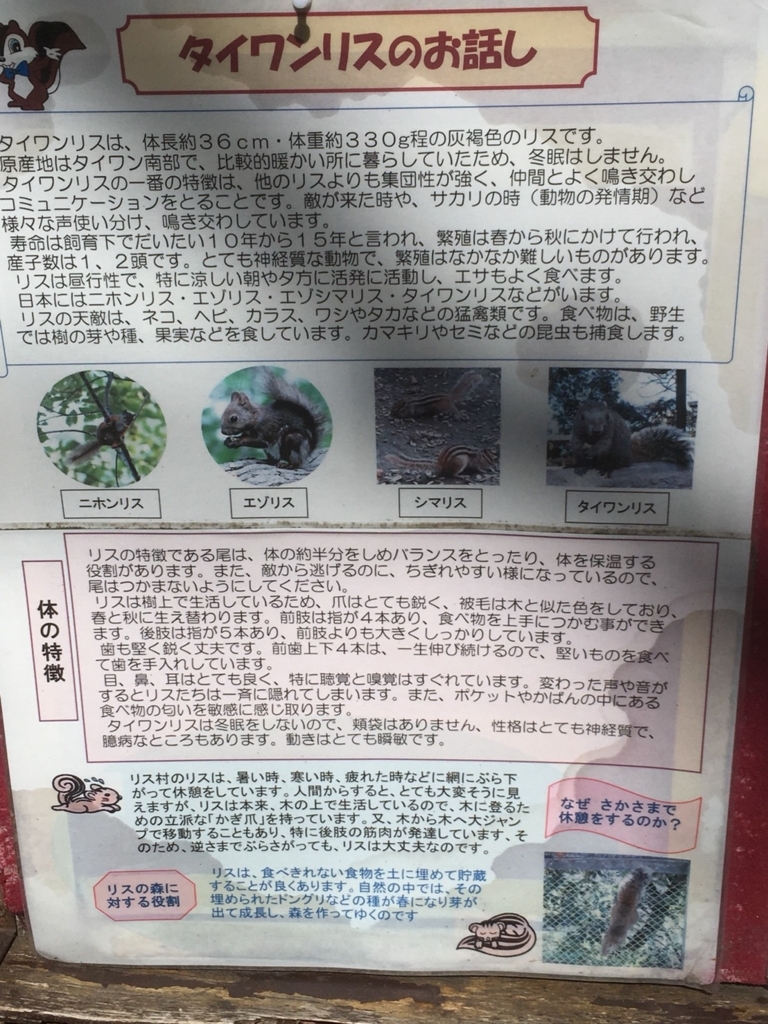 f:id:itasan-kibunyasan:20180313155139j:plain f:id:itasan-kibunyasan:20180313155139j:plain