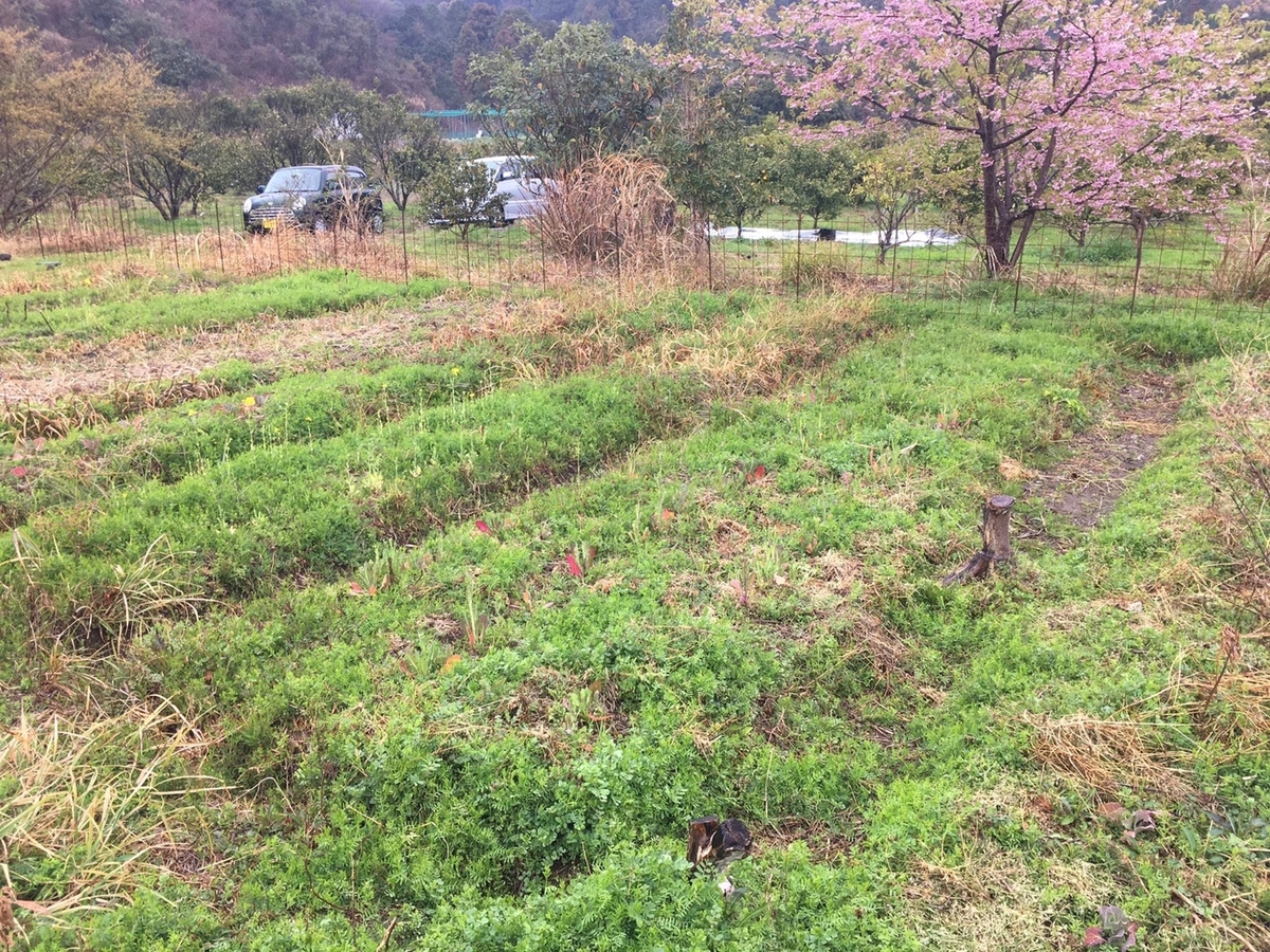 f:id:itasan-kibunyasan:20190319225225j:plain f:id:itasan-kibunyasan:20190319225225j:plain
