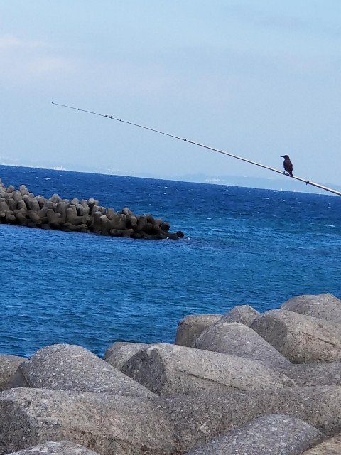 f:id:itboy283:20191128214031j:image f:id:itboy283:20191128214031j:image