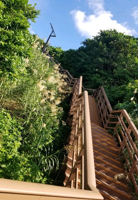 f:id:itboy283:20191206021131j:image f:id:itboy283:20191206021131j:image