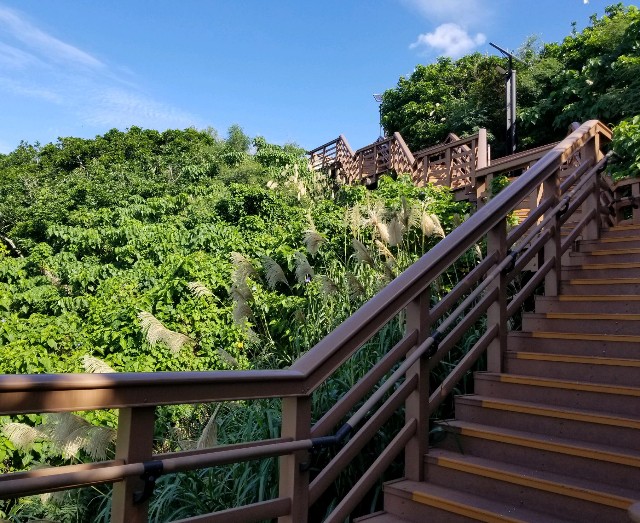 f:id:itboy283:20191206021140j:image f:id:itboy283:20191206021140j:image