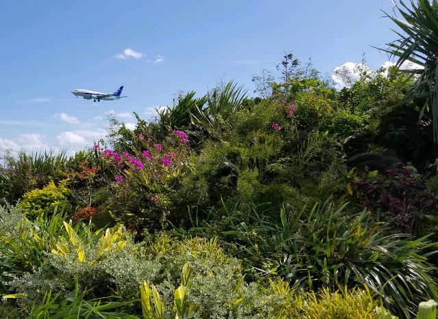 f:id:itboy283:20191206022338j:image f:id:itboy283:20191206022338j:image